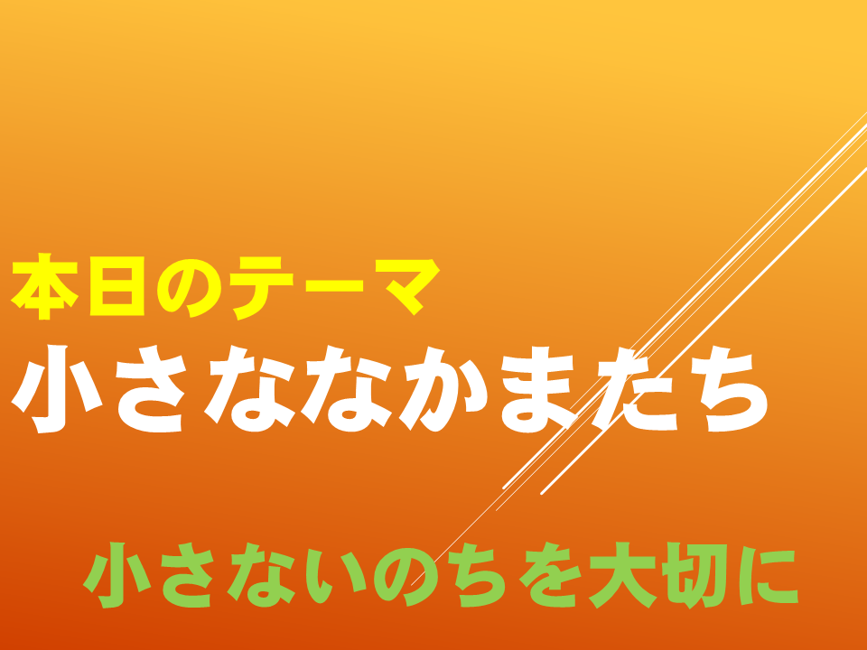 小さななかまたち～小さないのちを大切に～