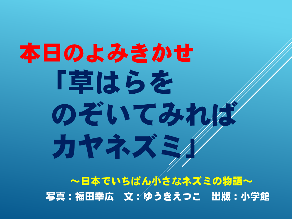 読み聞かせ 「草はらをのぞいてみればカヤネズミ」 　　　　～日本でいちばん小さなネズミの物語～