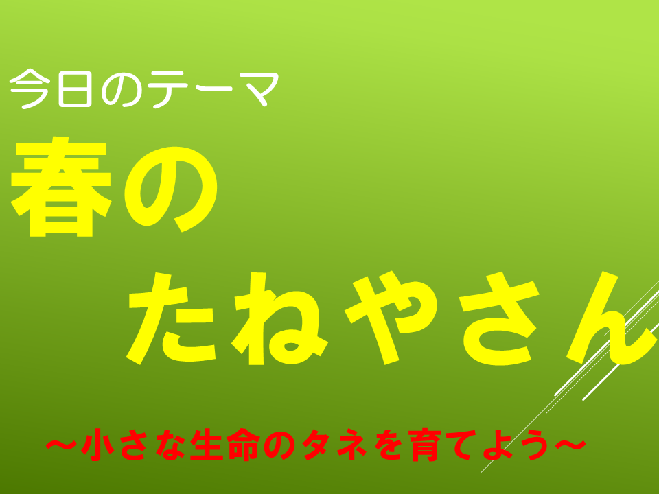 春のたねやさん