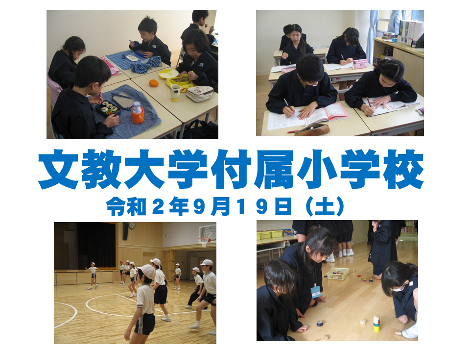 学校説明会