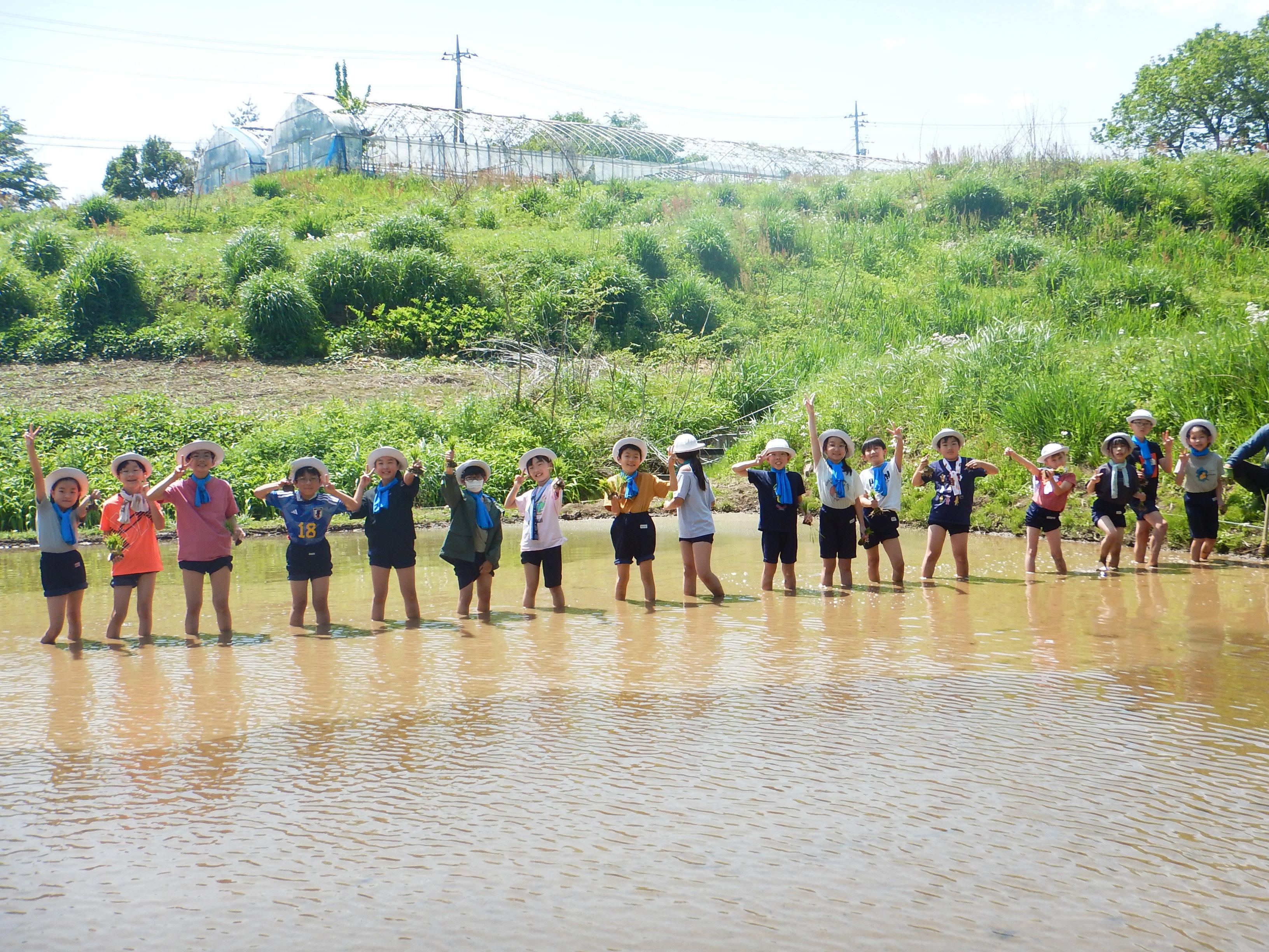 八ヶ岳自然教室