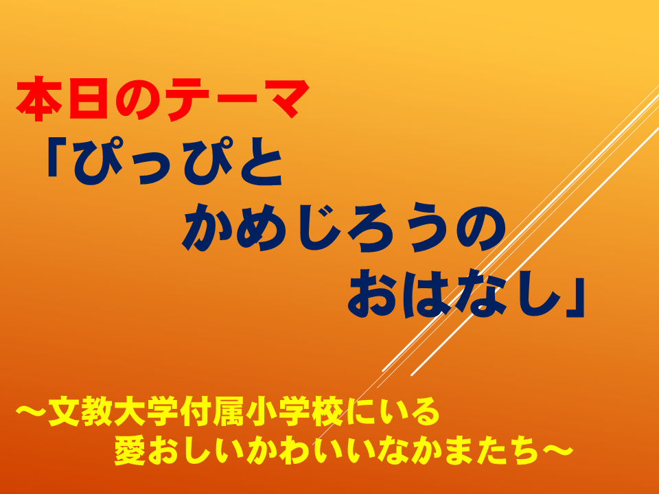 「ぴっぴとかめじろうのお話」～文教大学付属小学校にいる　愛おしいかわいいなかまたち～