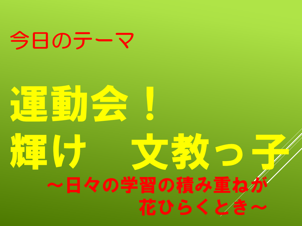 運動会！輝け　文教っ子～日々の積み重ねが花ひらくとき～