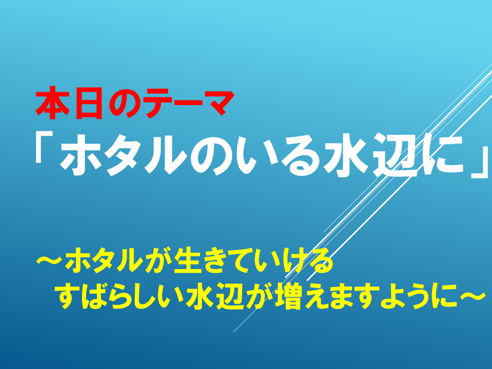 「ホタルのいる水辺に」～ホタルが生きていける　すばらしい水辺が増えますように～