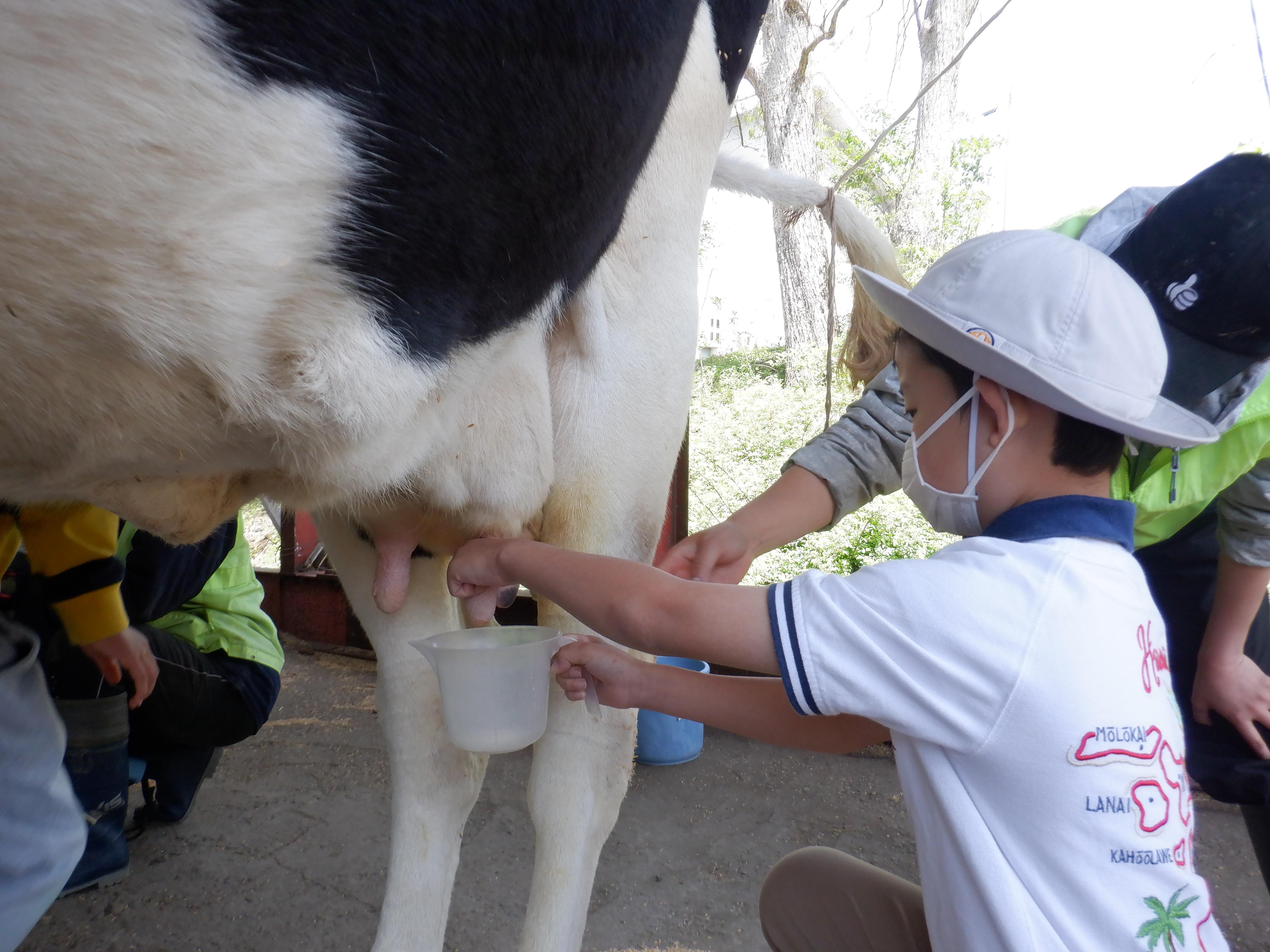 八ヶ岳自然教室