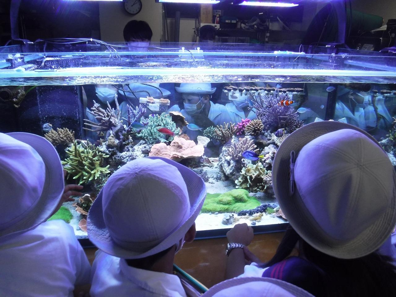 4年生　社会科見学