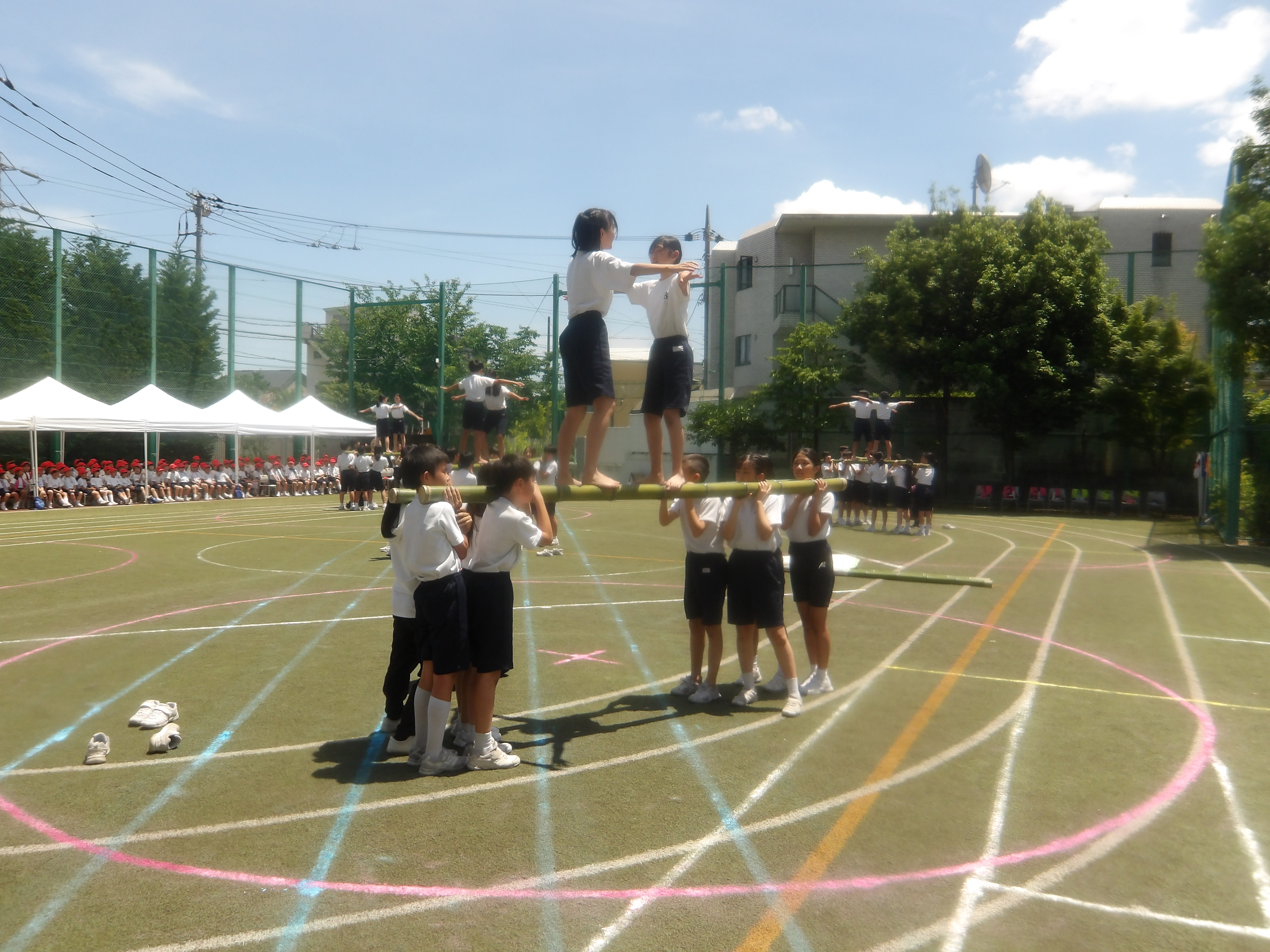 IMGP2314.JPG