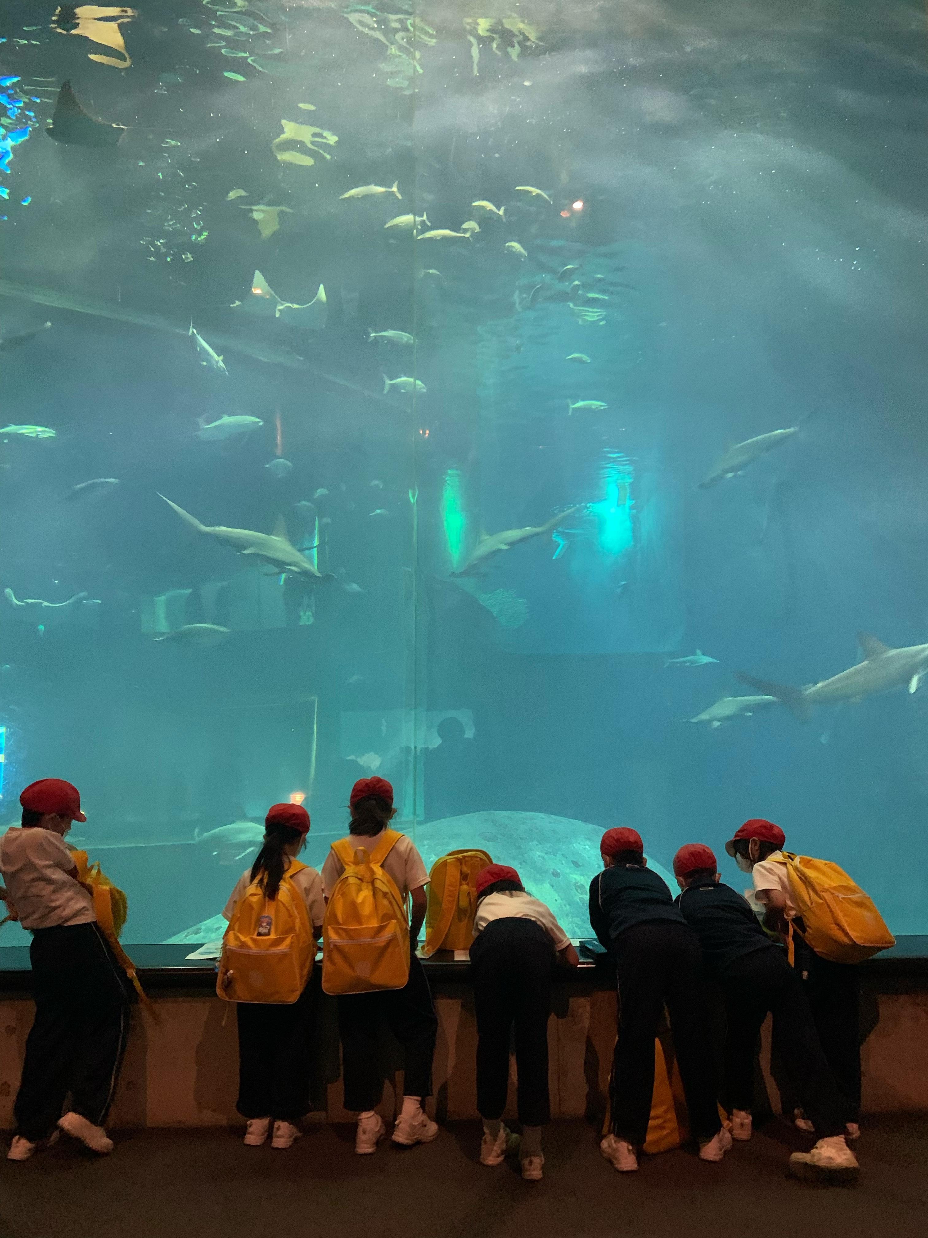 2年生 生活科見学