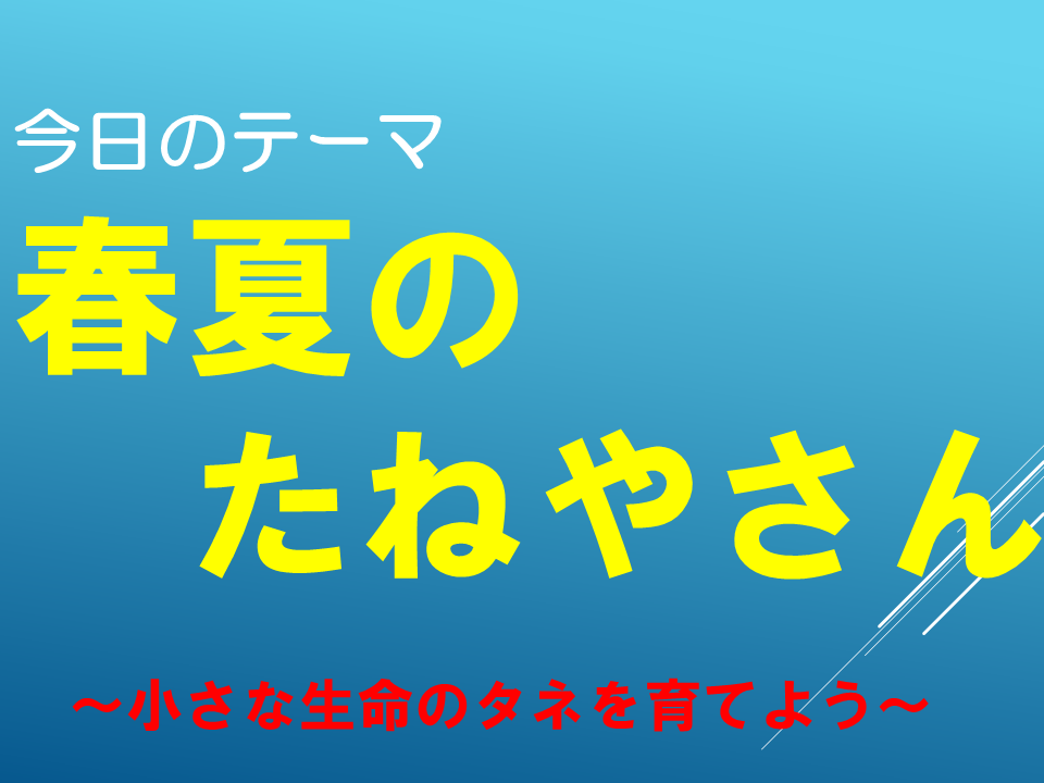 春夏のたねやさん