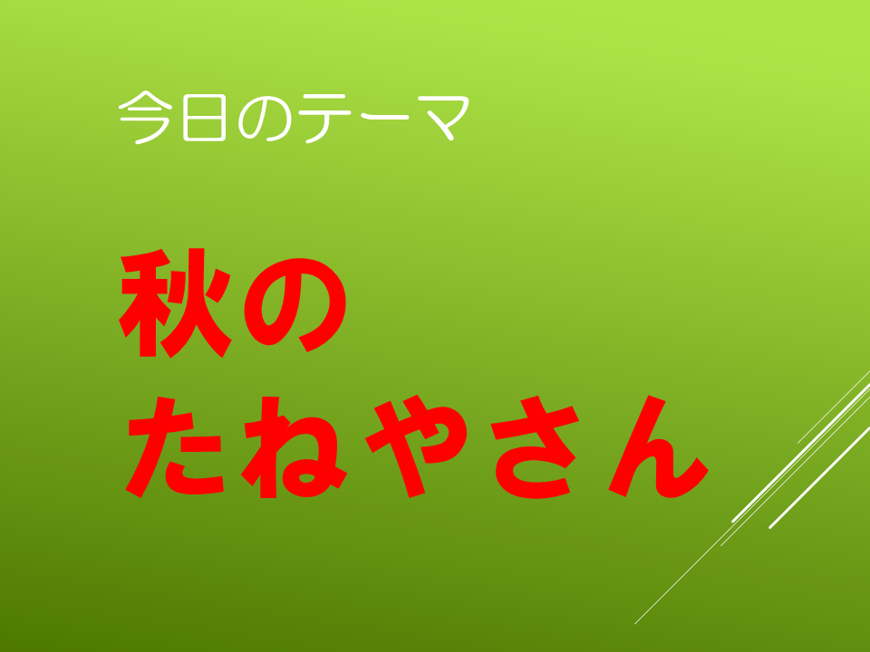 秋のたねやさん