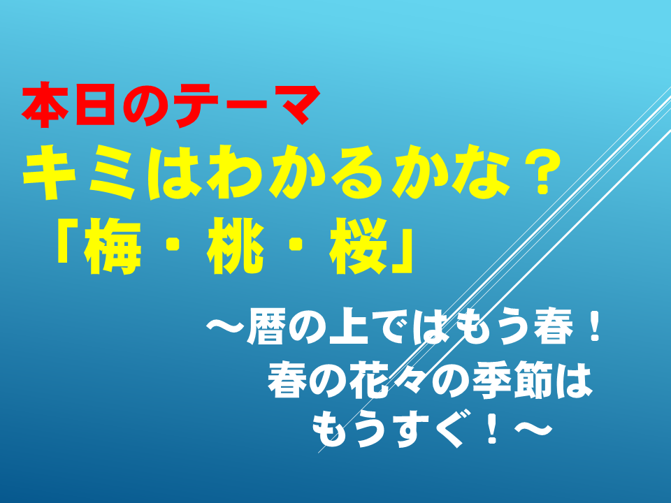 キミはわかるかな？「梅・桃・桜」～暦の上ではもう春！春の花々の季節はもうすぐ！～