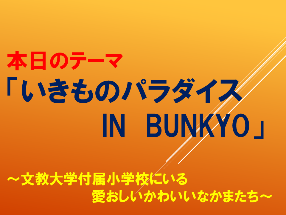 「いきものパラダイス　In　BUNKYO」～文教大学付属小学校にいる　愛おしいかわいいなかまたち～電車のマナー講座　第１弾