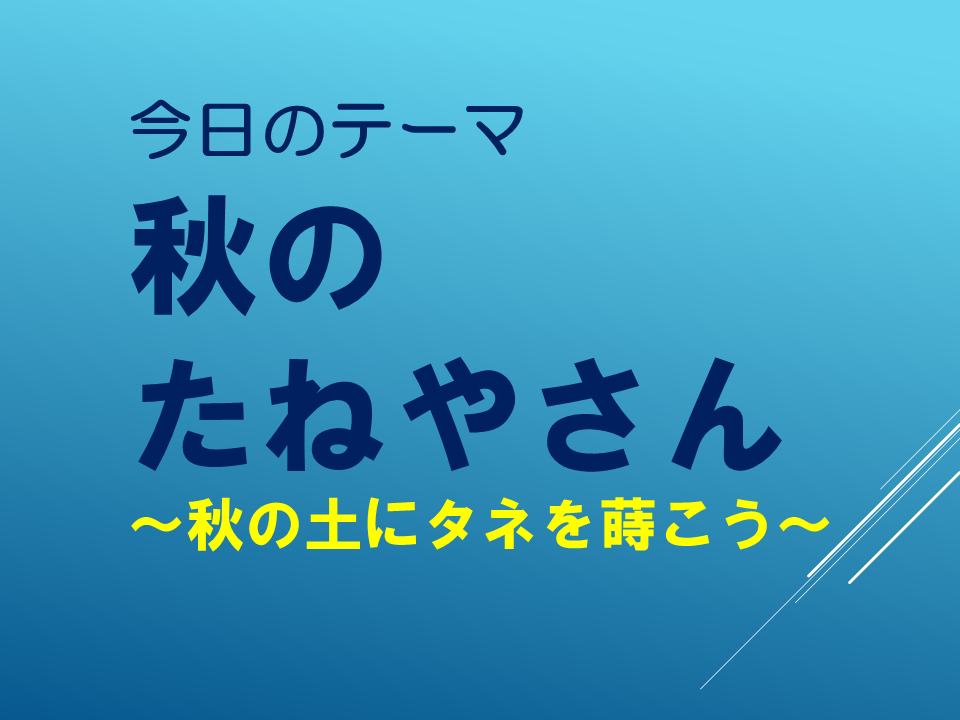 秋のたねやさん
