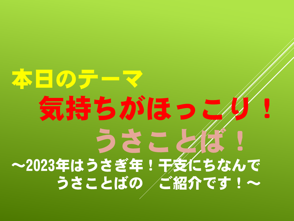 気持ちがほっこり！うさことば！～2023年はうさぎ年！干支にちなんでうさことばのご紹介です！～