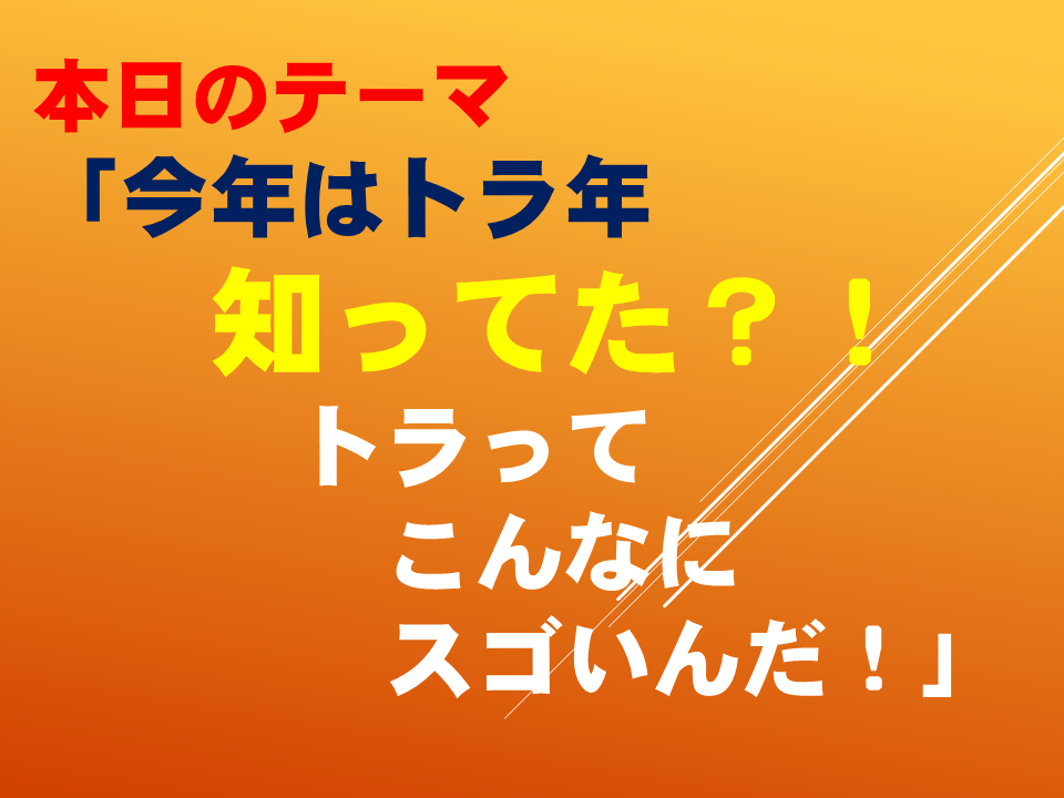 「今年は寅年！」～知ってた？！トラってこんなにスゴいんだ！～