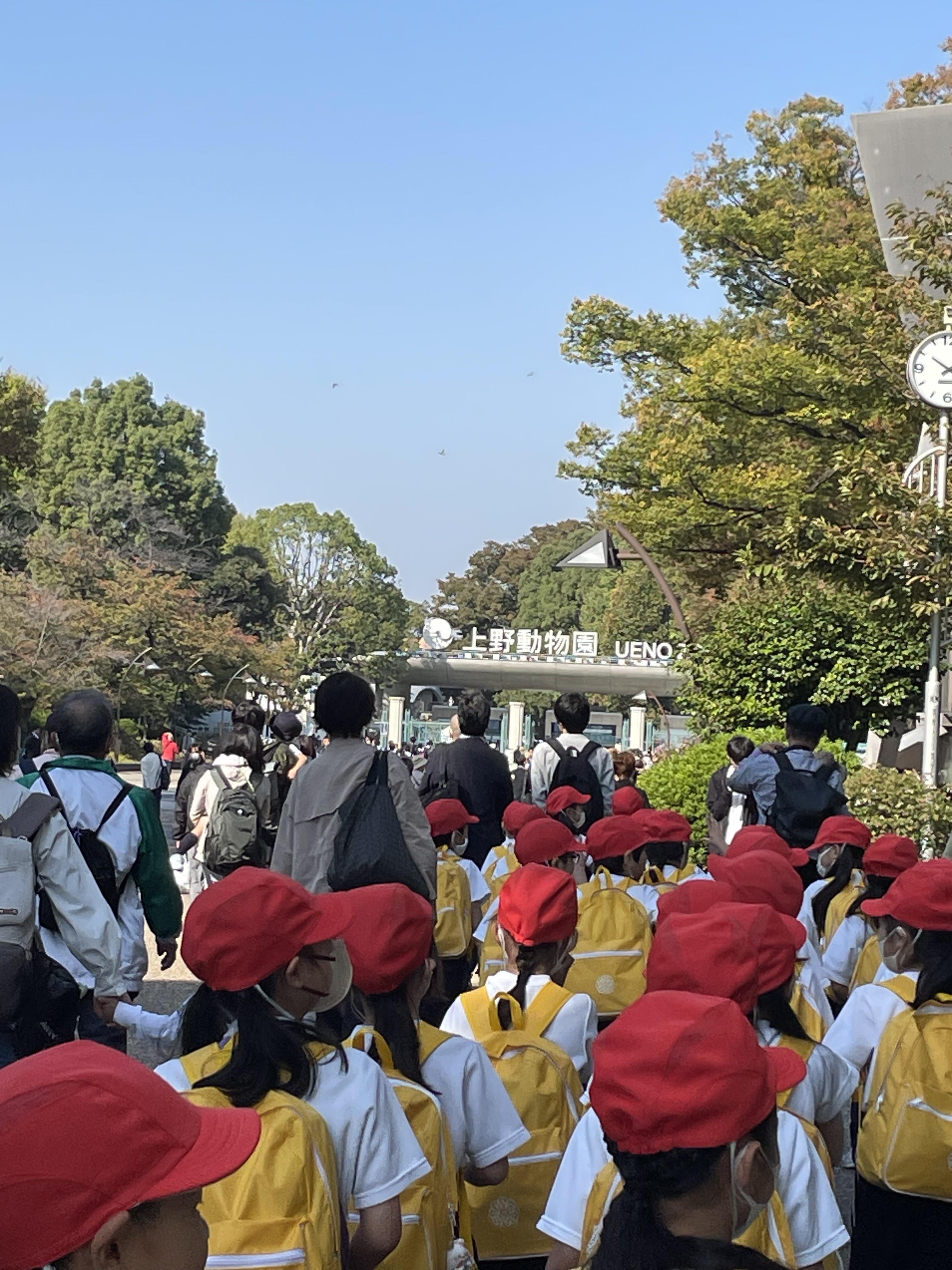 1年生 生活科見学