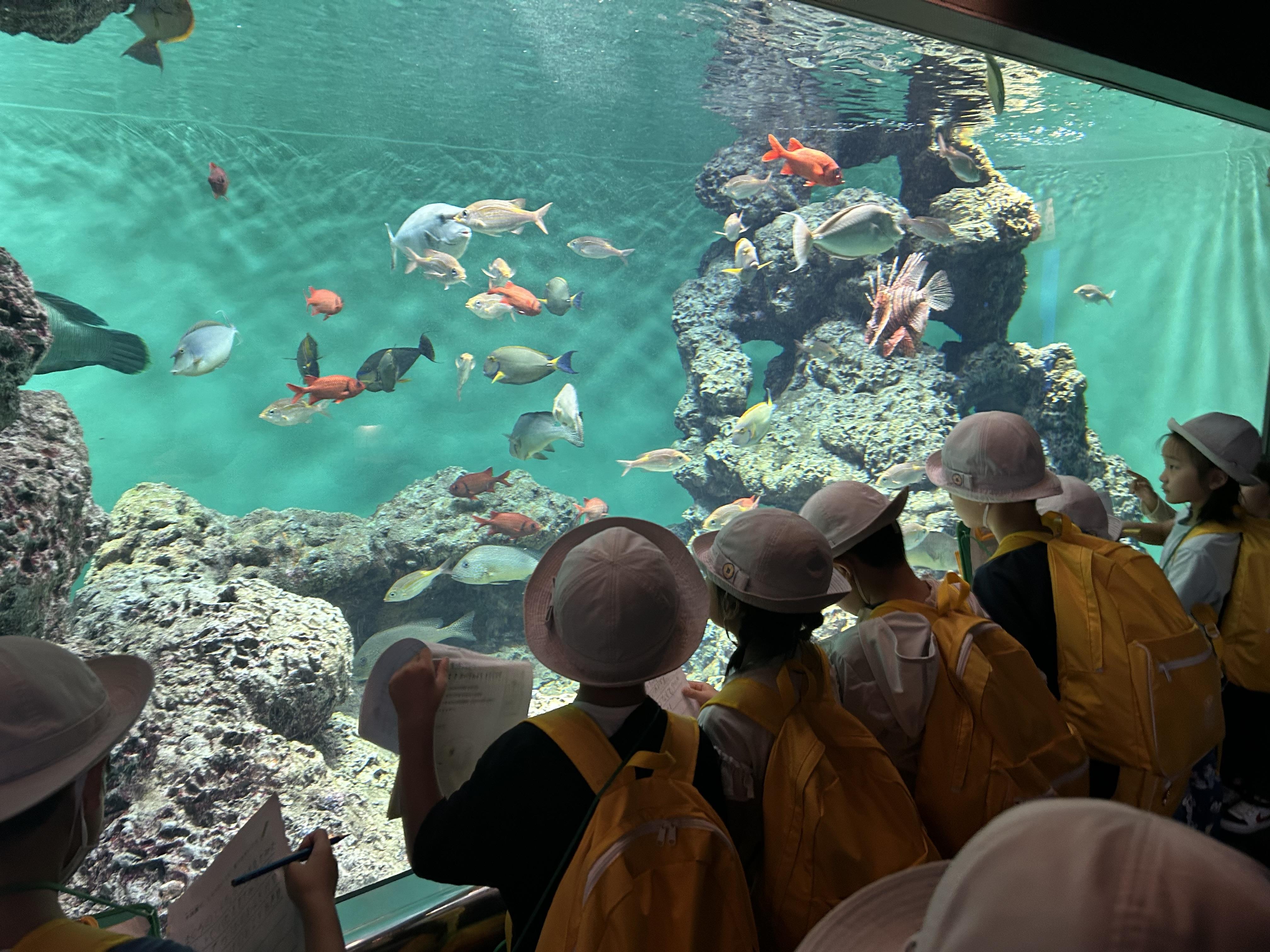 2年生 生活科見学