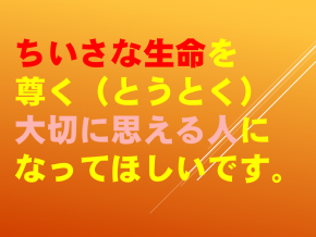 ４【令和2年度０６１５　　小さな仲間達】.png