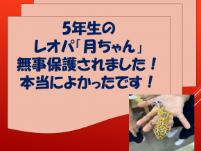 スライド36.PNG