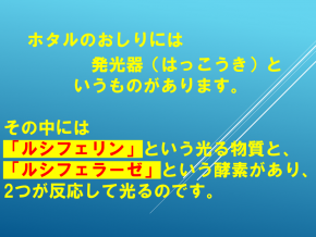 スライド18.PNG