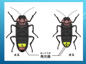 スライド19.PNG