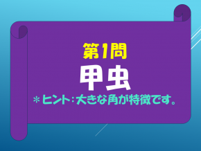 スライド8.PNG
