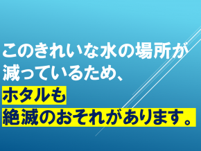 スライド31.PNG