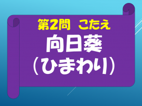 スライド12.PNG