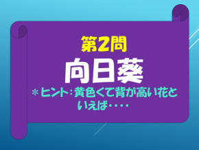 スライド11.PNG