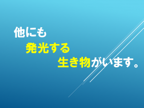 スライド20.PNG