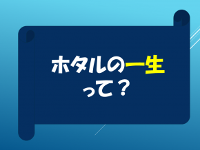 スライド23.PNG