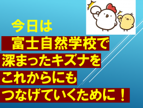 スライド13.PNG
