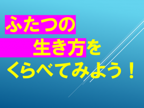 スライド27.PNG