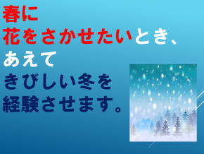 スライド6.PNG