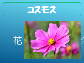 スライド12.PNG