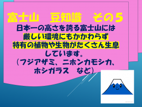 スライド24.PNG