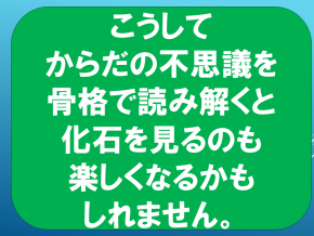 スライド6.PNG