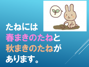スライド4.PNG