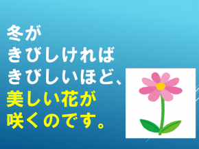 スライド7.PNG