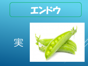 スライド14.PNG