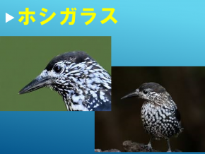 スライド27.PNG