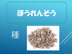 スライド19.PNG