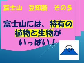 スライド23.PNG