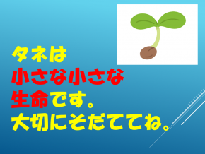 スライド30.PNG