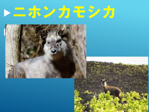 スライド26.PNG