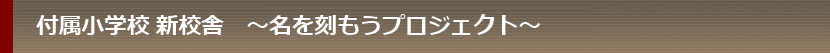 プロジェクト